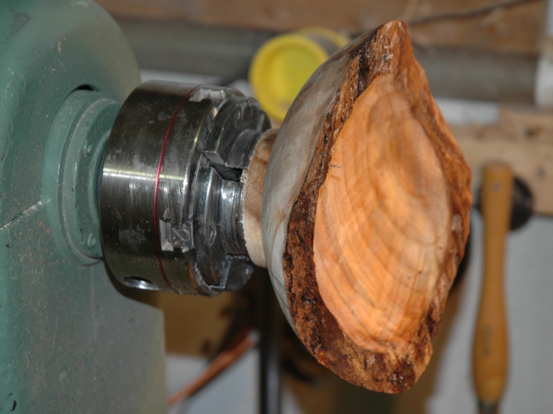 Small Half Hollowed